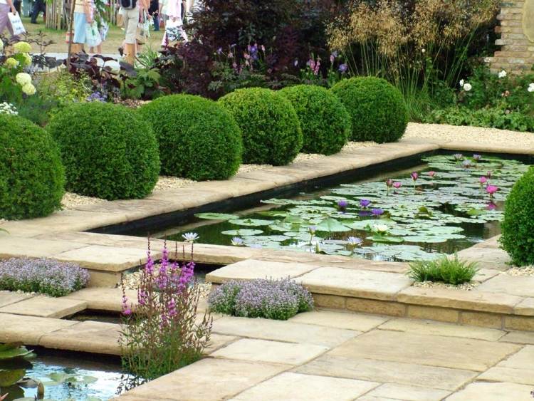 comment faire un jardin aquatique contemporain