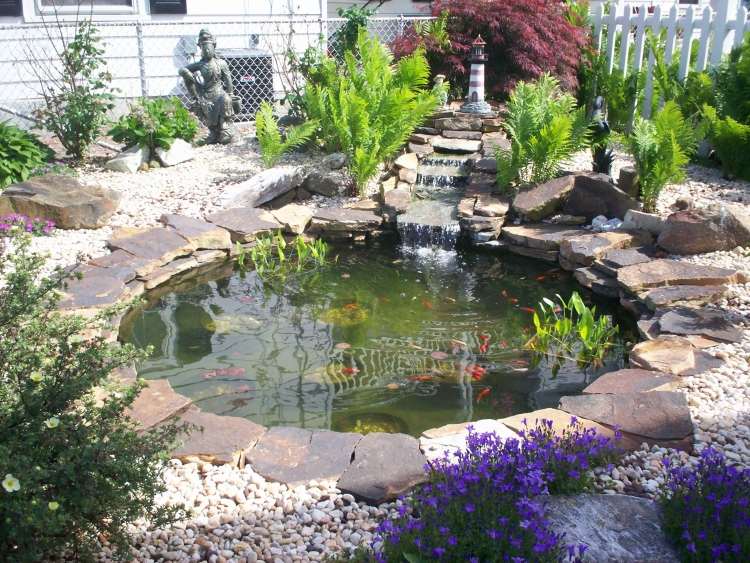 comment faire un jardin aquatique japonais