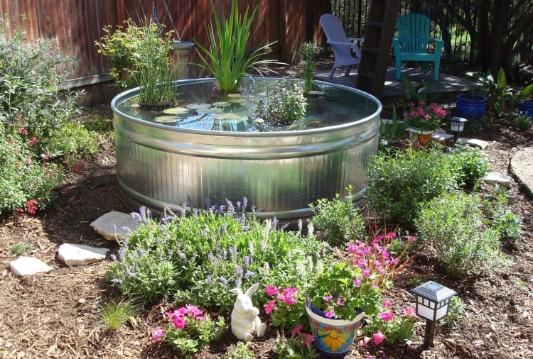 comment faire un mini jardin aquatique cour
