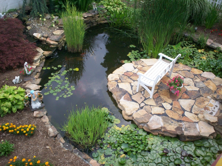comment decorer un etang