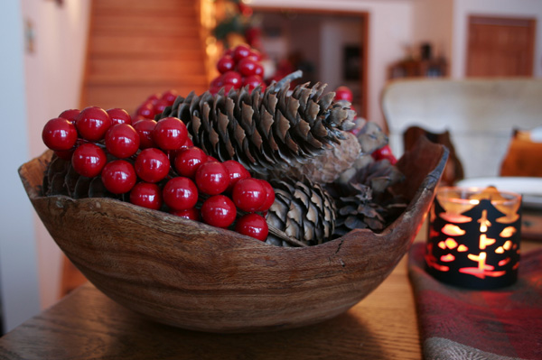 déco-de-Noël-fruits-églantier-cones-pin-panier-fruits