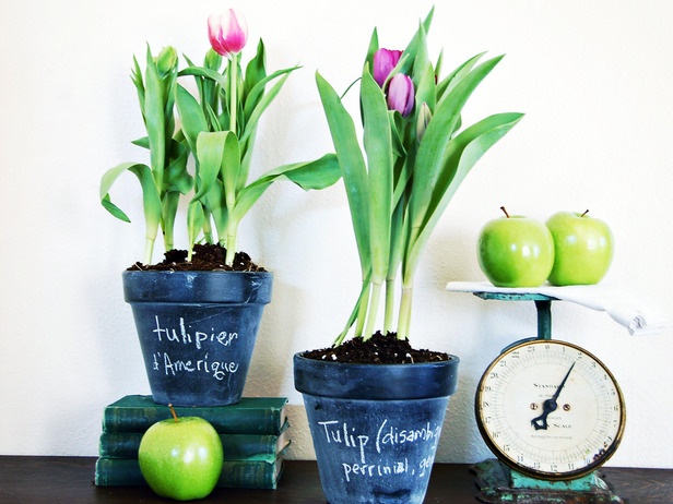 décoration-Pâques-pots-fleurs-tulipes décoration de Pâques