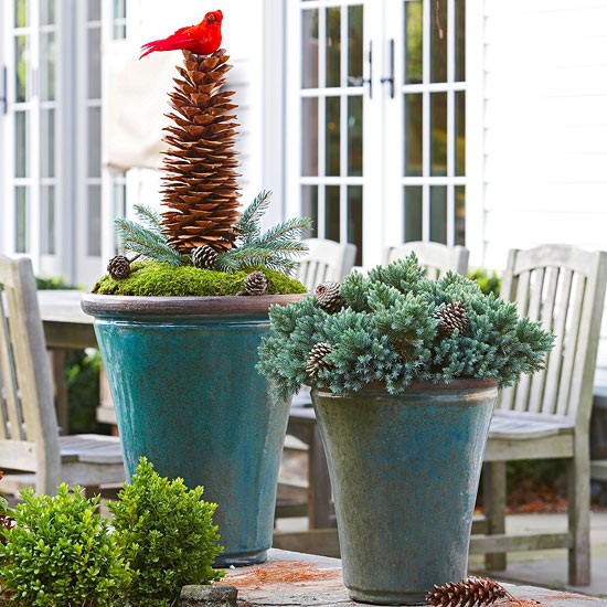 décoration-de-Noël-espace-extérieur-cones-pin-jardin