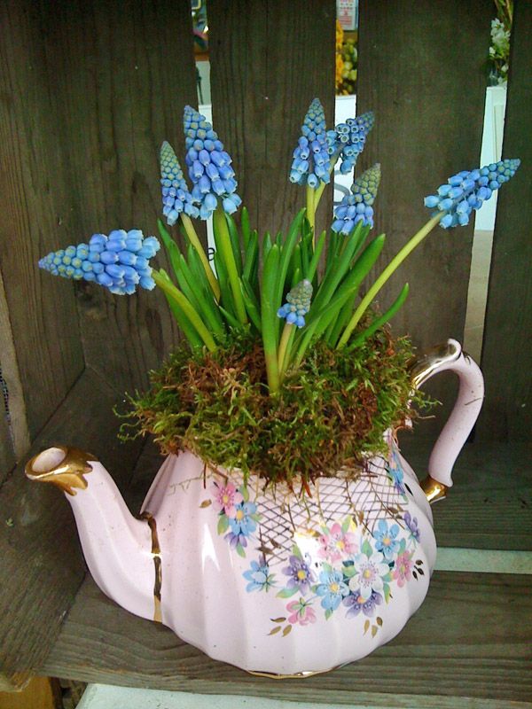 décoration-florale-printemps-jacinthe-raisin-bleues