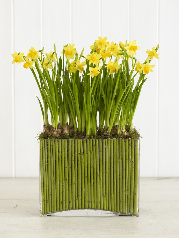 décoration-florale-printemps-narcisses