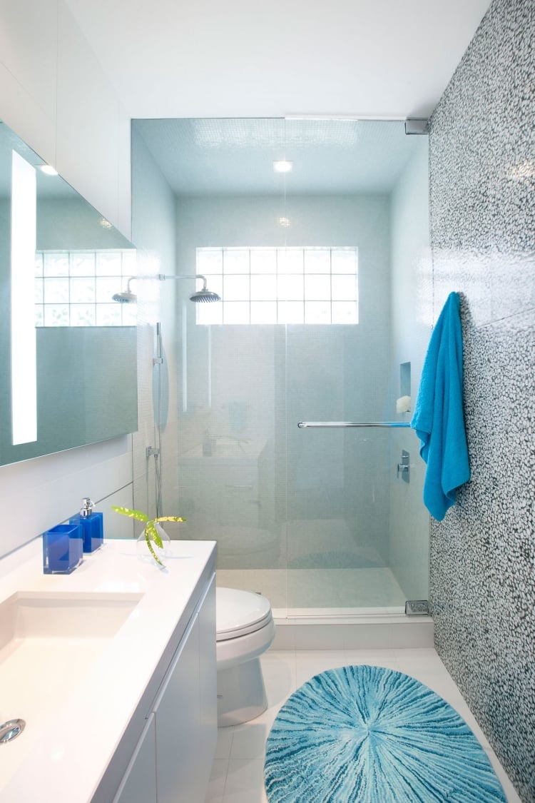 design-petite-salle-bains-moderne-grise-paroi-verre