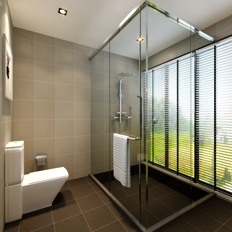 design salle de bains moderne avec toilettes cabine douche