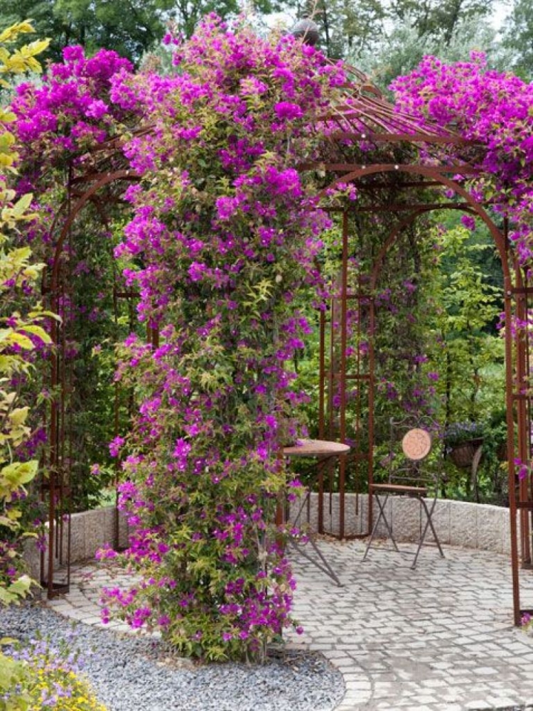 déco-jardin-kiosque-fer-plante-fleurs-grimpantes-lilas