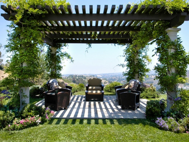 déco-jardin-pergola-bois-plantes-grimpantes-vertes