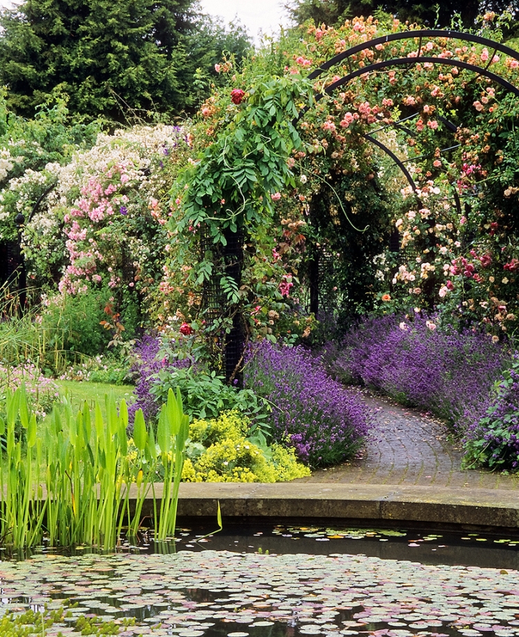 déco-jardin-pergola-fer-plantes-arbustes-grimpants