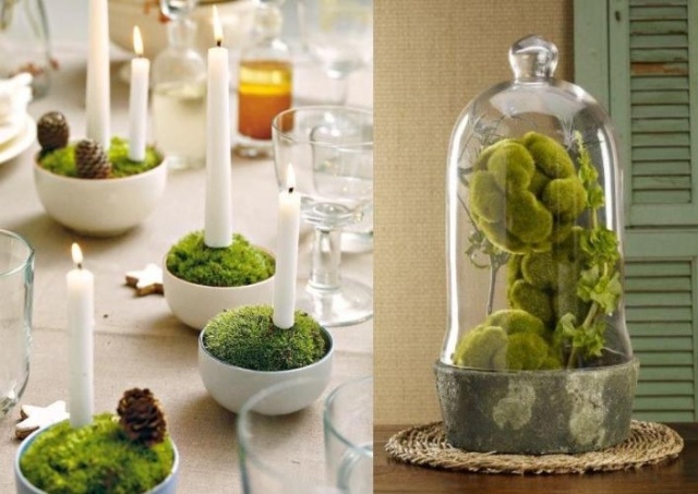 déco-printemps-mousse-arrangement-bols-blancs-chandelles