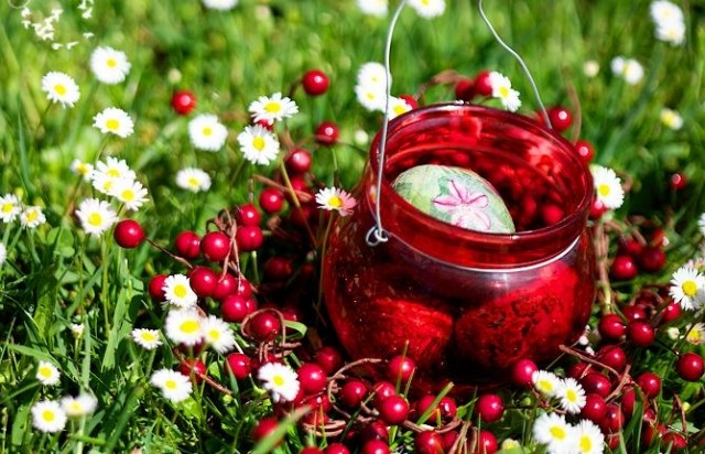 décoration-de-Pâques-jardin-marguerites-oeufs