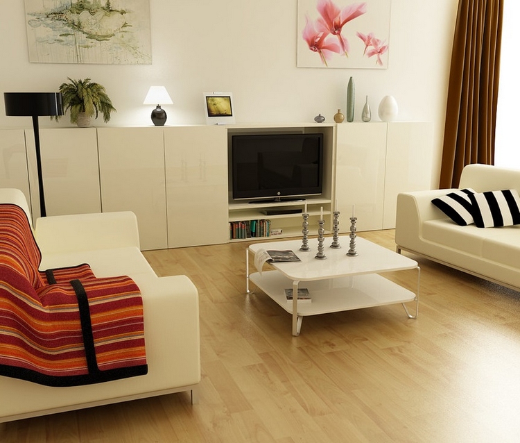 décoration-salon-petit-espace-meubles-style-minimaliste