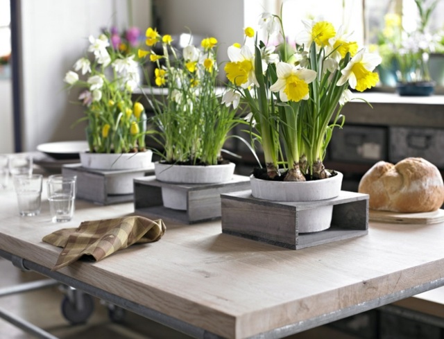 décoration-table-printanière-narcisses-pots-bulbes