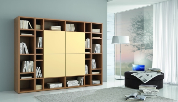 idée-meuble-tv-rangement-portes-salon-moderne