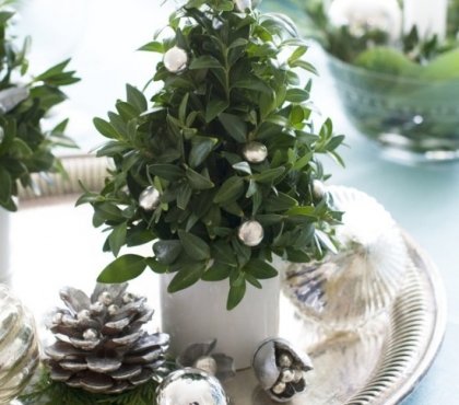 idées-déco-table-hiver-petit-arbuste-sapin-boules-Noel-argent-pomme-pin