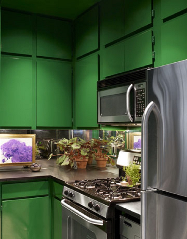 petite cuisine moderne armoires vertes appareils inox