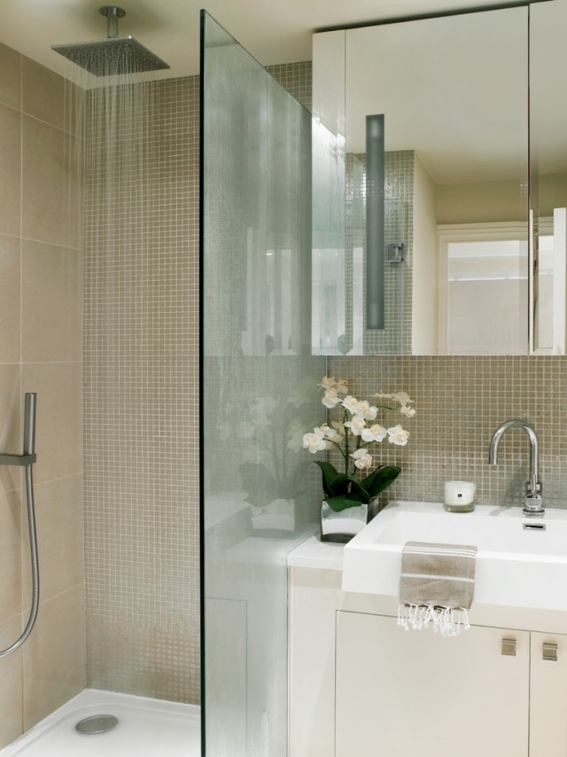 petite-salle-de-bains-idées-originales-aménagement-paroi-transparent-robinet