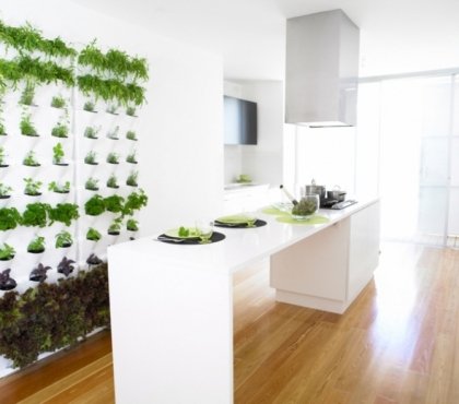 plantes-cuisine-rangement-mural-hotte-aspirante