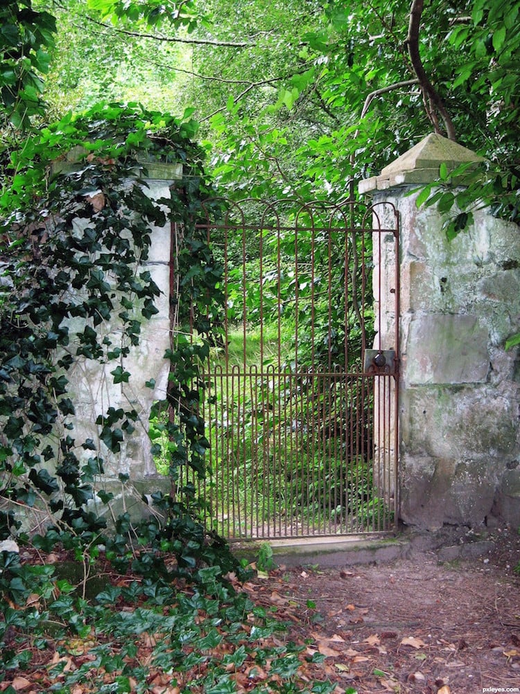 porte-jardin-extérieure-ancienne-métallique-couverte-lierre