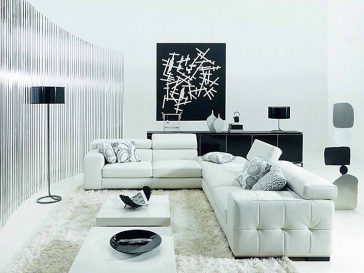 salon-noir-blanc-canapé-blanc-accents-noirs