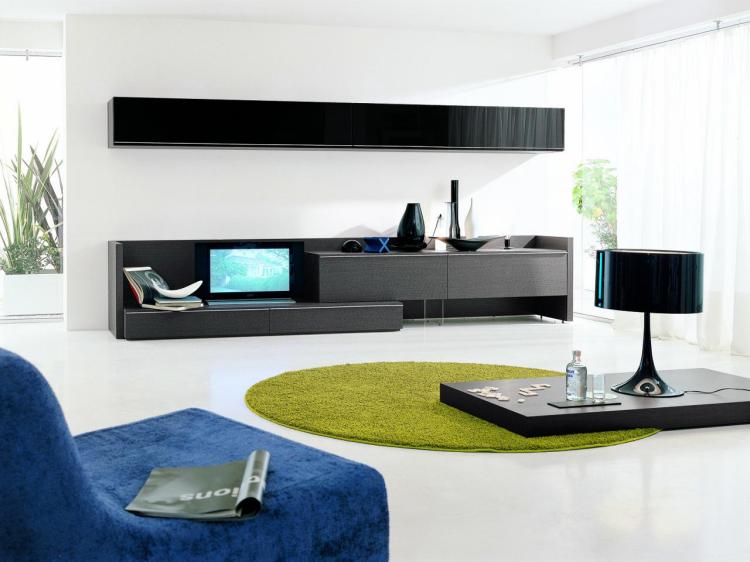 salon-style-miniamliste-tapis-vert-meubles-noir-lampe