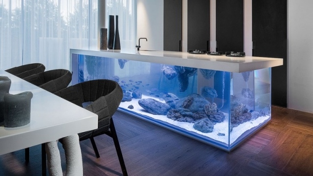 îlot-de-cuisine-aquarium-rocher-design-Robert-Kolenik