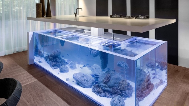 îlot-de-cuisine-aquarium-rocher-parquet-flottant