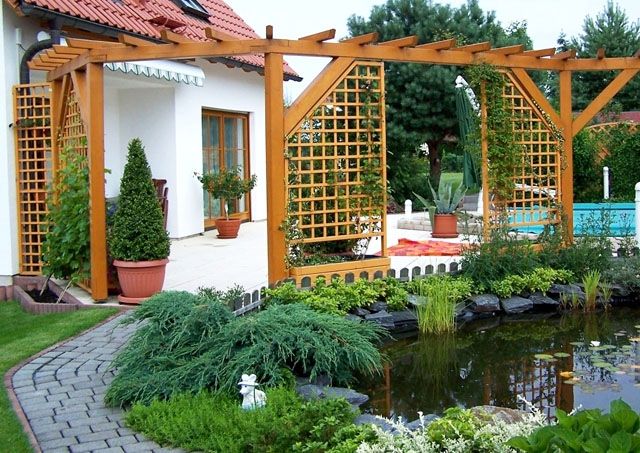 aménagement jardin pergola-bois-plantes-mini-etang