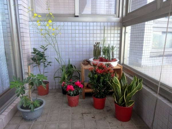 aménagement-terrasse-esprit-mexicain-plantes-pots-fleurs