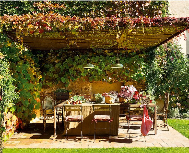 aménager-terrasse-plantes-grimpantes-chaises-bois-métal-table