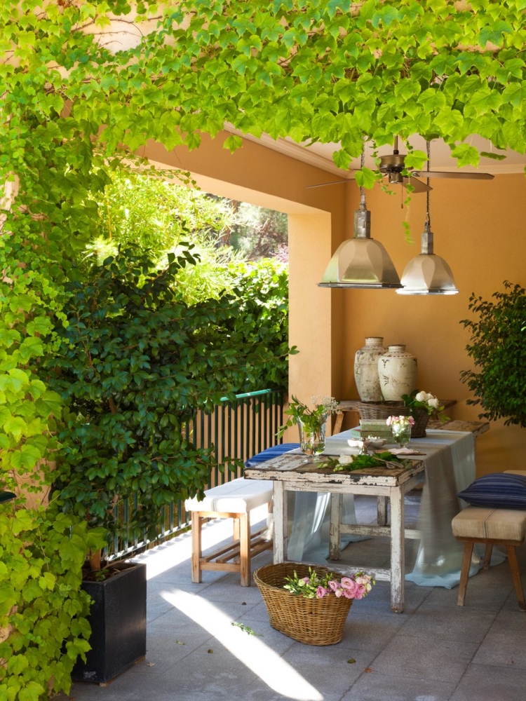 aménager-terrasse-plantes-grimpantes-mobilier-bois aménager une terrasse