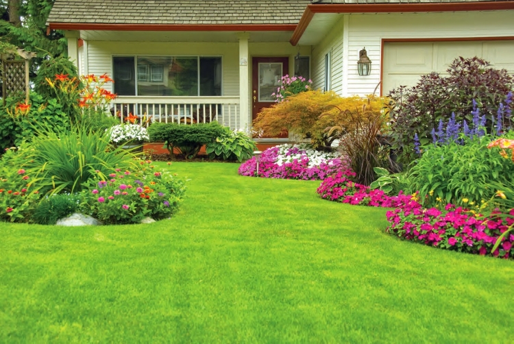 aménagement-de-jardin-agrandir-espace-pelouse-plantes