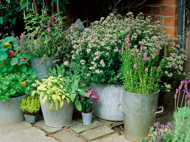 aménagement extérieur plantes vertes-seaux-métal