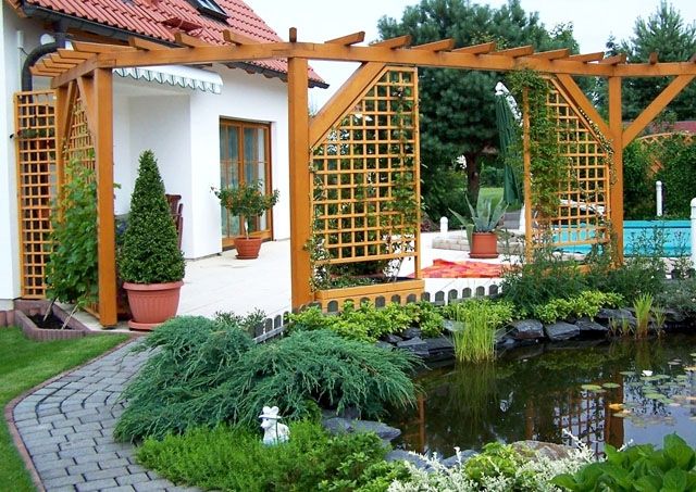 aménagement-jardin-pergola-bois-plantes-mini-etang