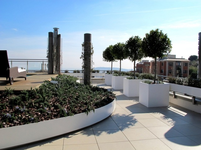 aménagement-terrasse-arbres-jardinieres