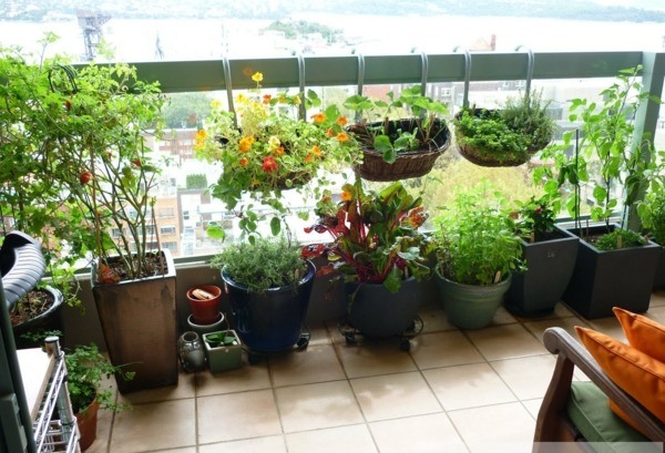 aménagement-terrasse-esprit-mexicain-plantes-grimpantes