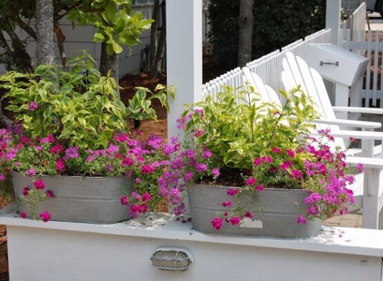 apparier-plantes-aime-mêmes-conditions