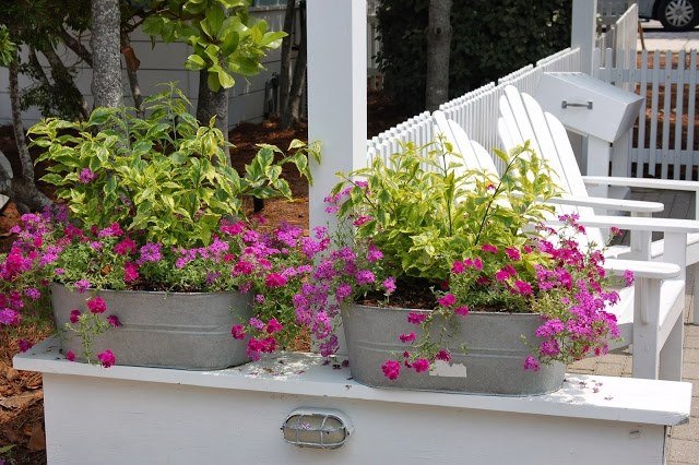 apparier-plantes-aime-mêmes-conditions