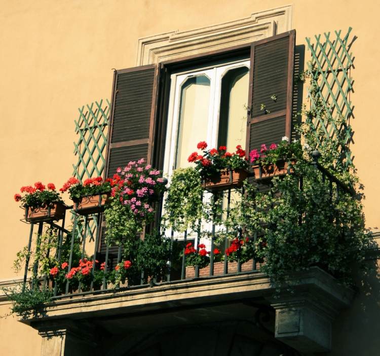 balcon-fleurs-déco-contre-vent-bois