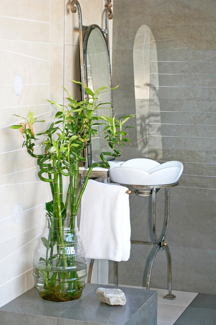 bambou en pot -verre-salle-bains