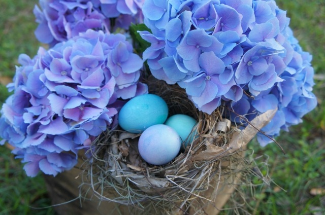 chasse-oeufs-Pâques-hortensias-violets-nid
