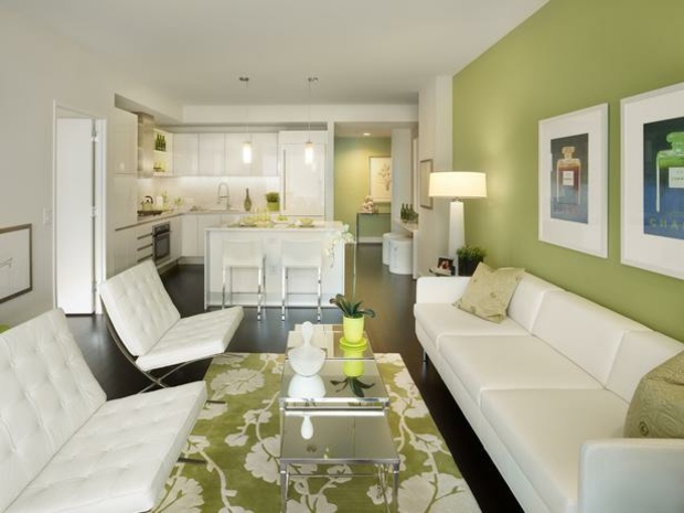 couleur de peinture pour salon vert-olive-tapis-assorti-meubles