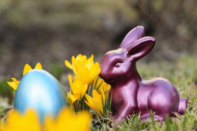 décoration-Pâques-crocus-figurine-lapin décoration de Pâques