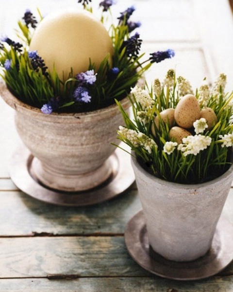 décoration de Pâques theme-rustique-plantes-oeufs-jacinthe