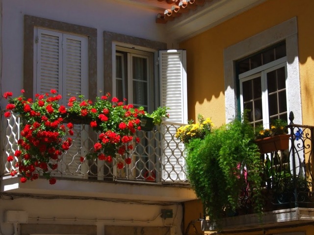 décorer-balcon-différentes-plantes-retombantes