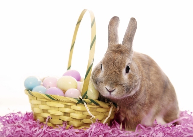 décoration-de-Pâques-cadeau-oeufs-lapin-corbeille