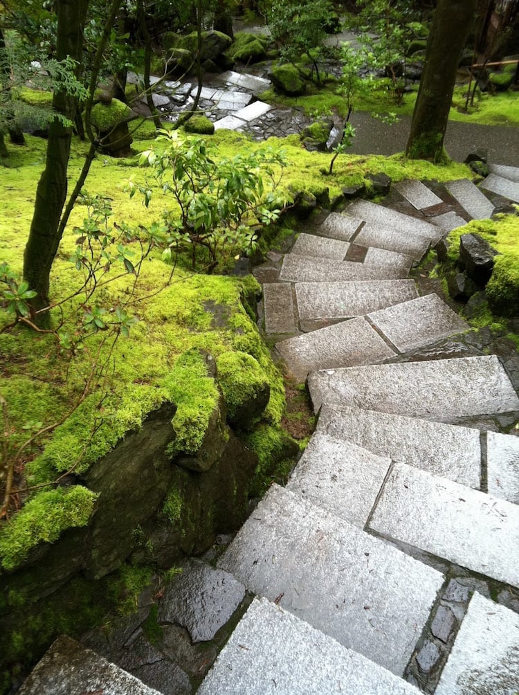escalier-pierre-blanche-marches-jardin-pente-raide