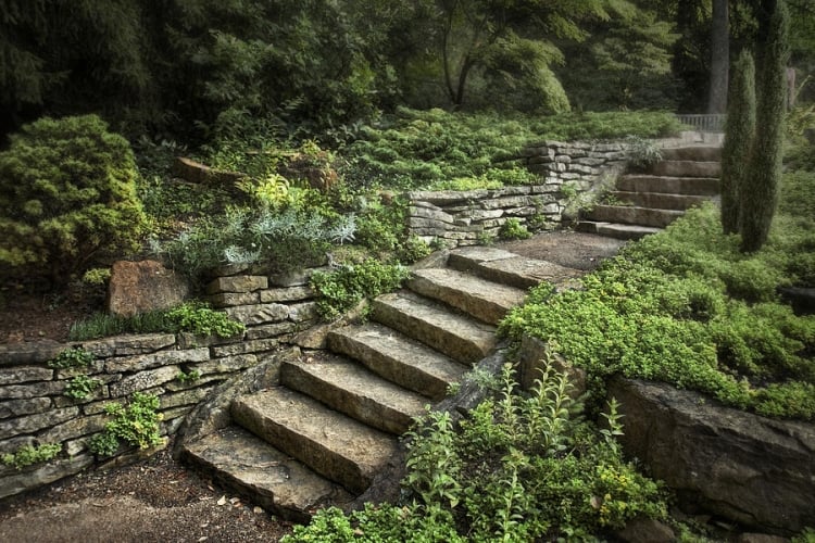 escalier en pierre taillée jardin luxuriant