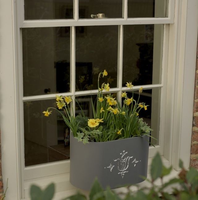 fleurs-jardinières-jonquilles-pot-métallique